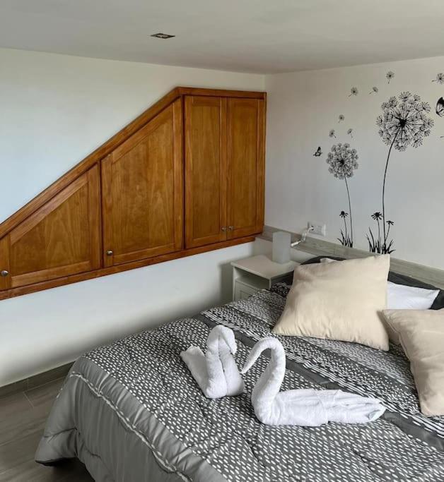 산타크루스데 테네리페 La Casita De La Pared 아파트 외부 사진